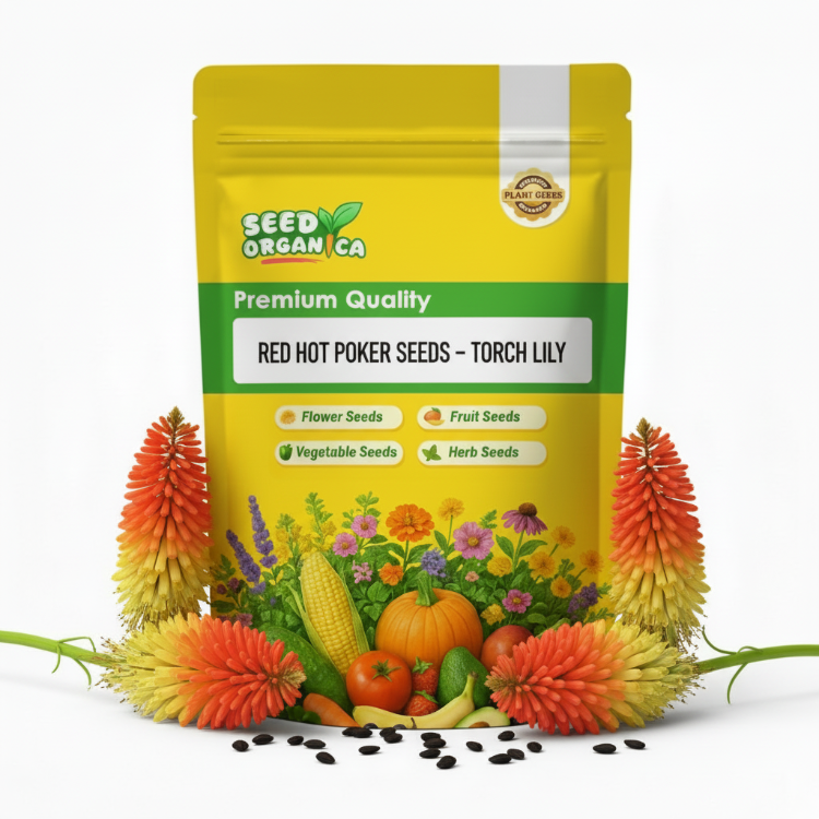 Red Hot Poker Seeds – Torch Lily