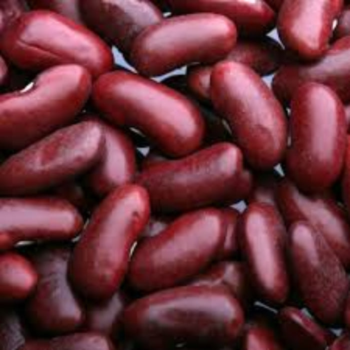 Red Kidney Bean Seeds 