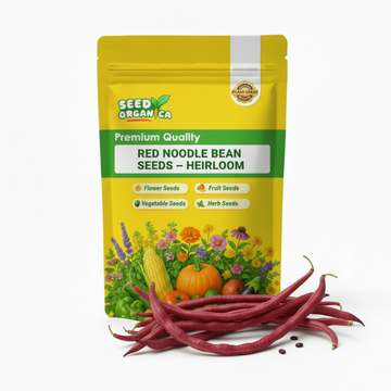 Red Noodle Bean Seeds – Heirloom