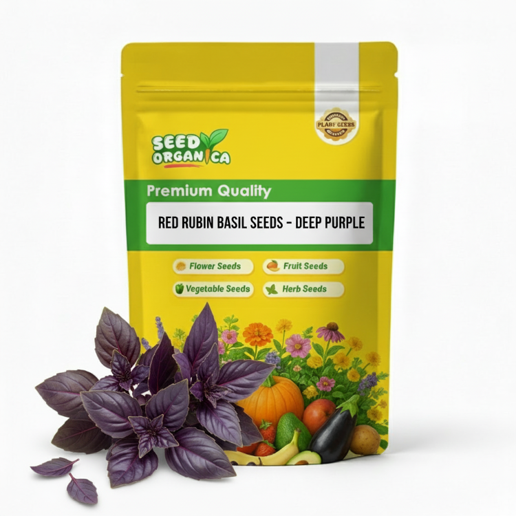 Red Rubin Basil Seeds – Deep Purple