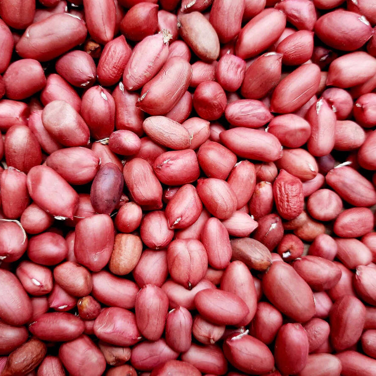 Red Skin Peanut Seeds