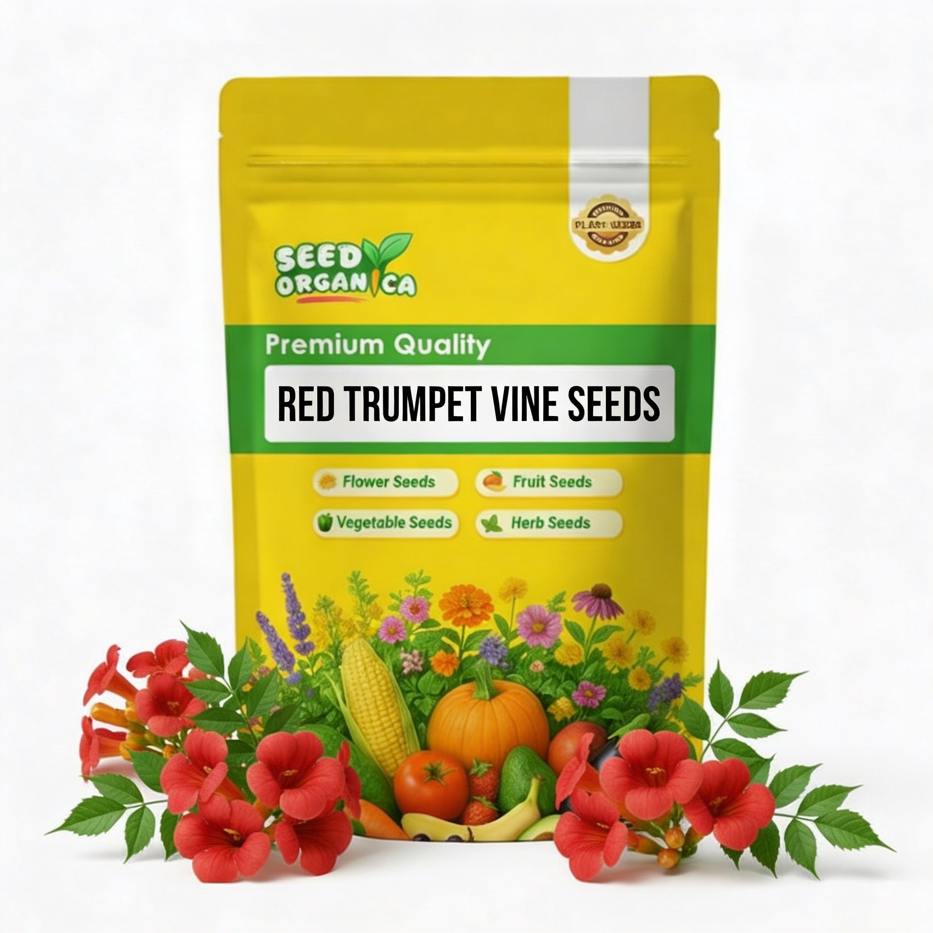Red Trumpet Vine Seeds