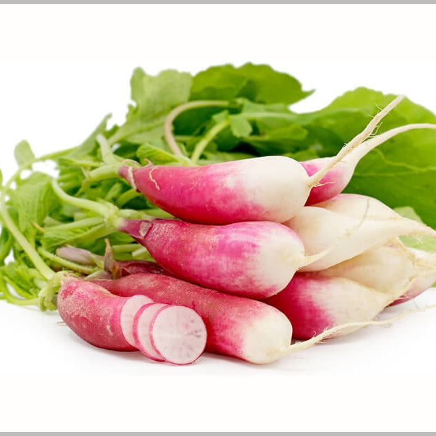Red White Radish Seeds