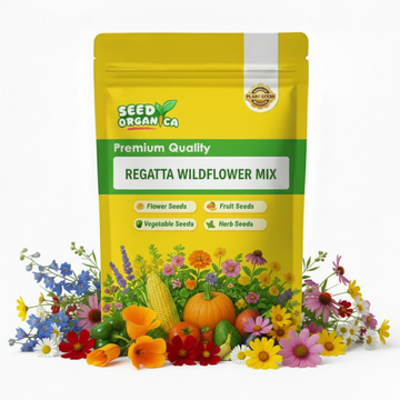 Regatta Wildflower Mix