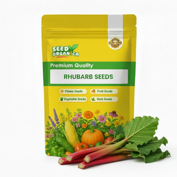 Rhubarb Seeds