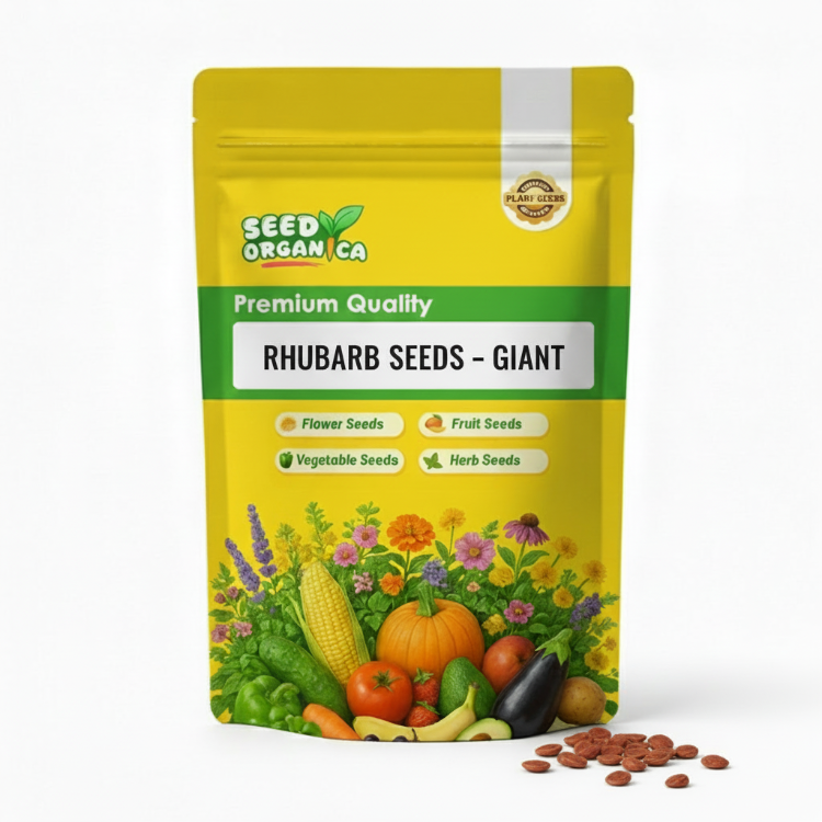 Rhubarb Seeds – Giant