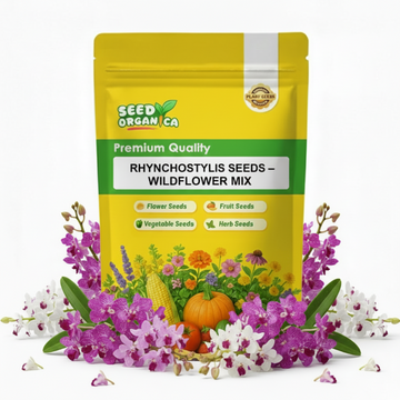 Rhynchostylis  Seeds – Wildflower Mix