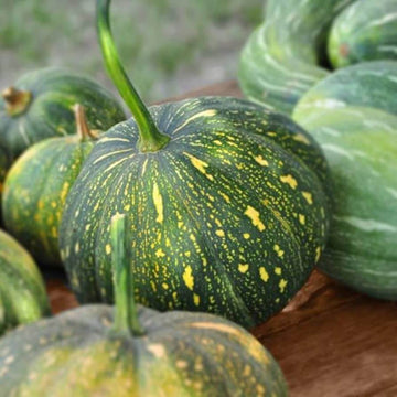 Rican Pumpkin Seeds
