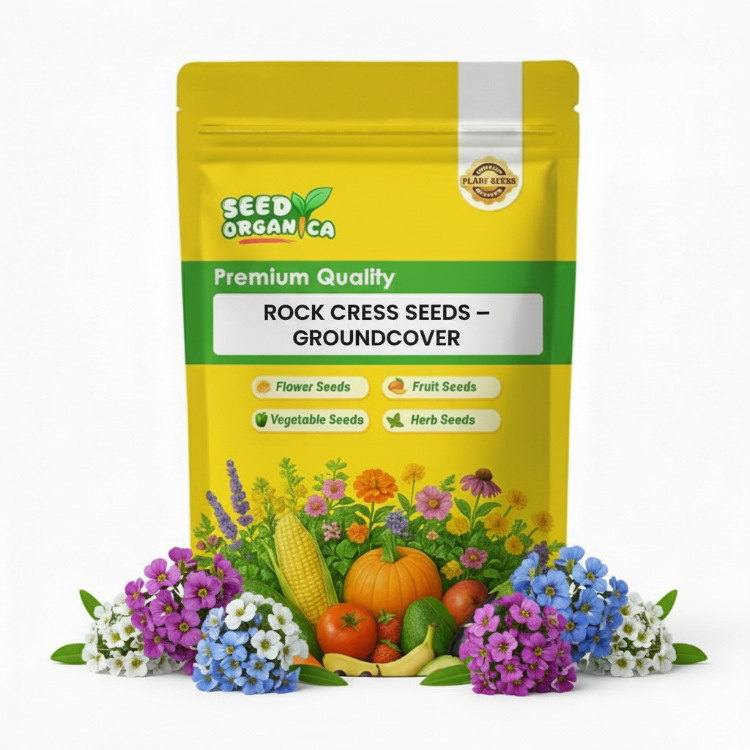 Rock Cress Seeds – Groundcover