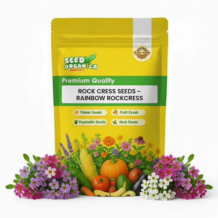 Rock Cress Seeds – Rainbow Rockcress