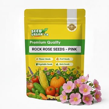 Rock Rose Seeds – Pink