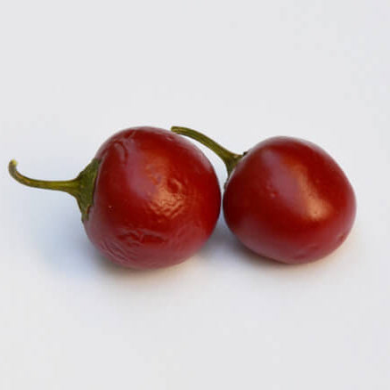 Rocoto Pepper Seeds - Red Manzano