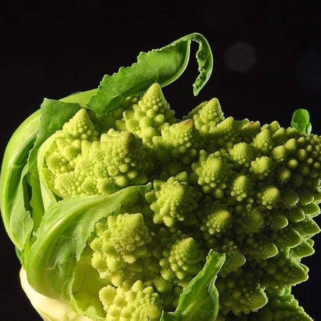 Romanesco Broccoli Cauliflower Seeds