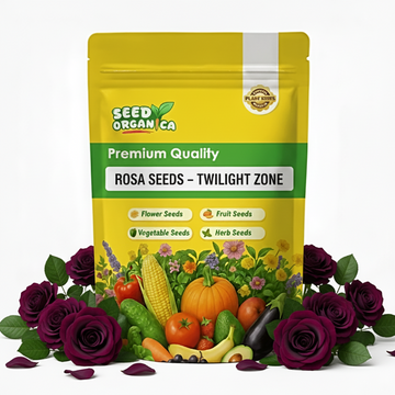 Rosa Seeds – Twilight Zone