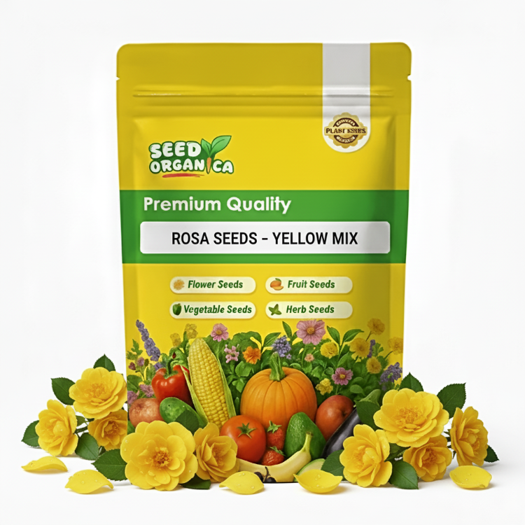 Rosa  Seeds – Yellow Mix