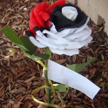 Rosa spp. Seeds – Red, White & Black Rose Mix