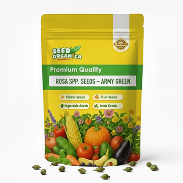 Rosa spp. Seeds – Army Green
