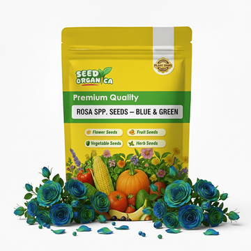Rosa spp. Seeds – Blue & Green