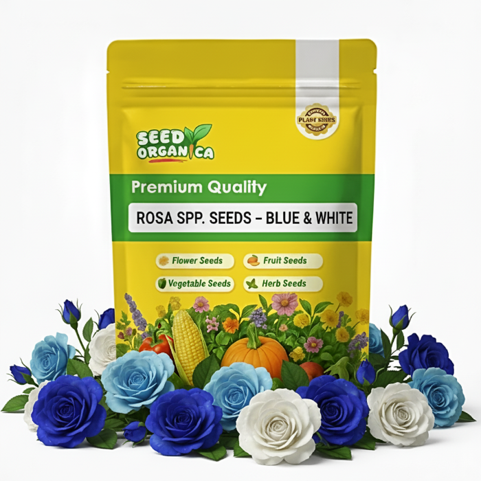 Rosa spp. Seeds – Blue & White