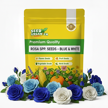 Rosa spp. Seeds – Blue & White
