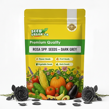 Rosa spp. Seeds – Dark Grey