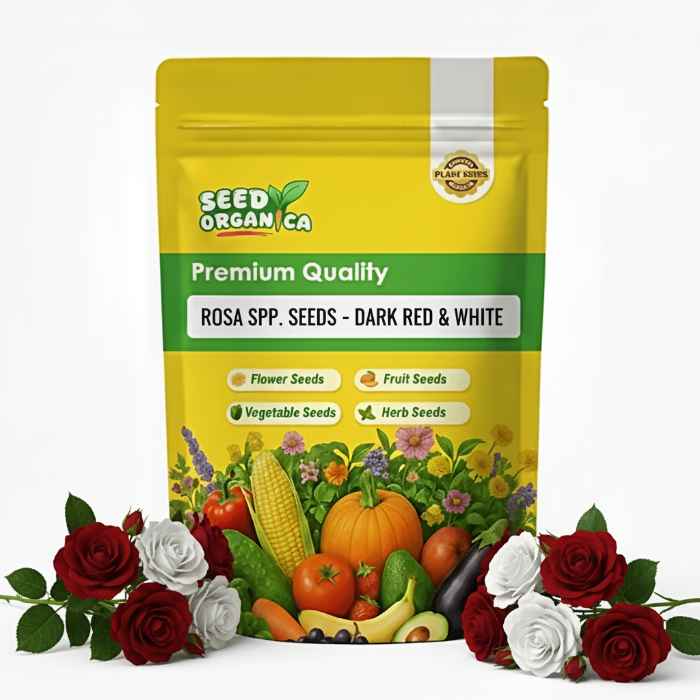 Rosa spp. Seeds – Dark Red & White