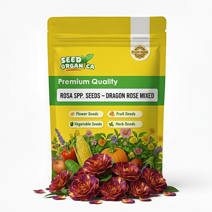 Rosa spp. Seeds – Dragon Rose Mixed