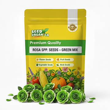 Rosa spp. Seeds – Green Mix