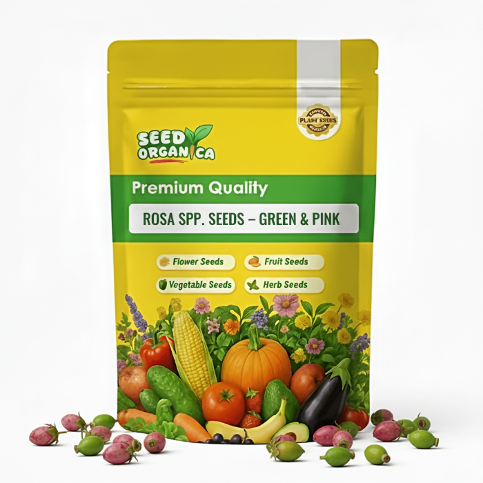 Rosa spp. Seeds – Green & Pink