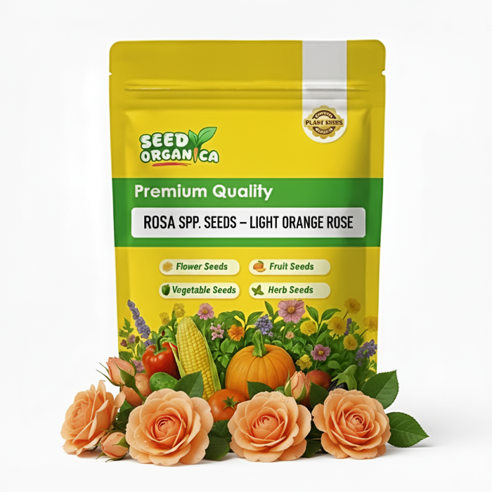 Rosa spp. Seeds – Light Orange Rose