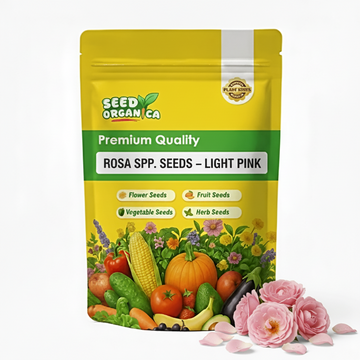 Rosa spp. Seeds – Light Pink