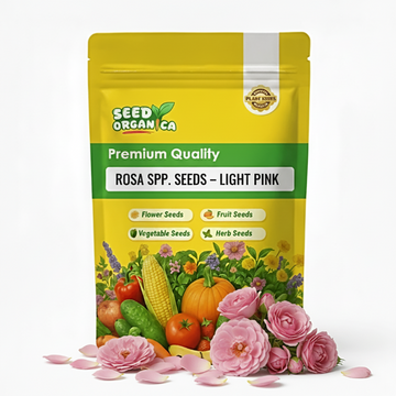 Rosa spp. Seeds – Light Pink