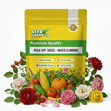 Rosa spp. Seeds – Mixed Climbing