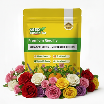 Rosa spp. Seeds – Mixed Rose Colors