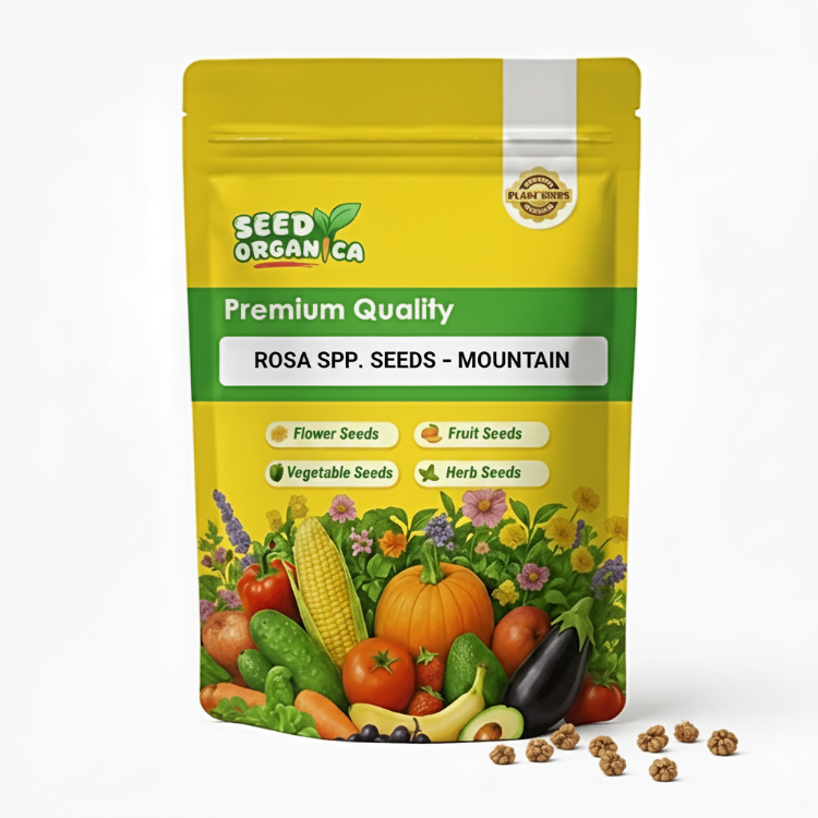 Rosa spp. Seeds – Mountain