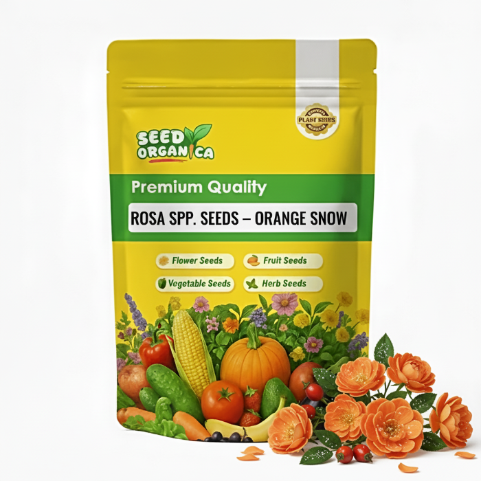 Rosa spp. Seeds – Orange Snow
