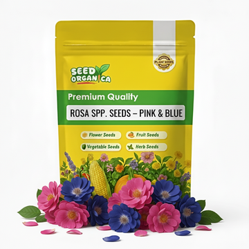 Rosa spp. Seeds – Pink & Blue