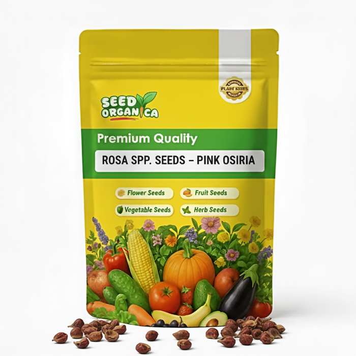 Rosa spp. Seeds – Pink Osiria