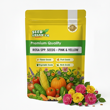 Rosa spp. Seeds – Pink & Yellow
