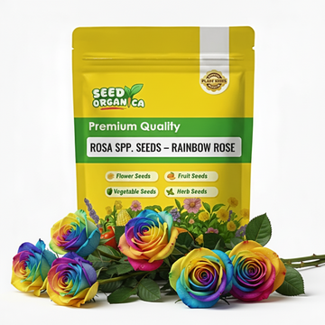 Rosa spp. Seeds – Rainbow Rose