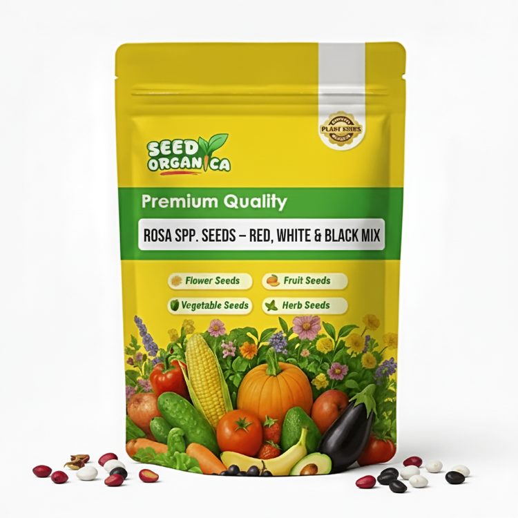 Rosa spp. Seeds – Red, White & Black  Mix