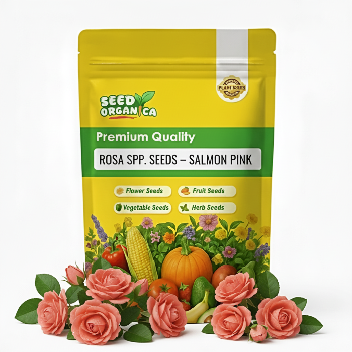 Rosa spp. Seeds – Salmon Pink