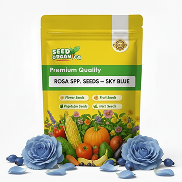 Rosa spp. Seeds – Sky Blue