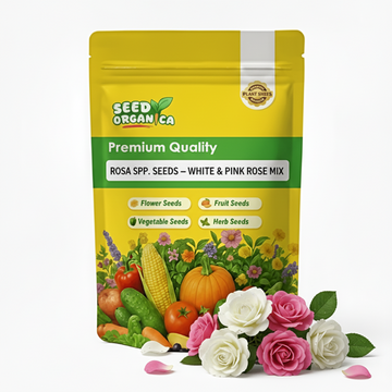 Rosa spp. Seeds – White & Pink Rose Mix