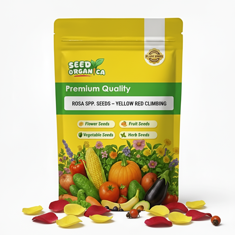 Rosa spp. Seeds – Yellow Red Climbing