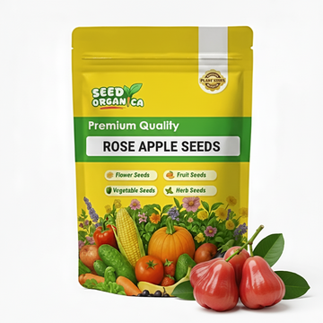 Rose Apple Seeds
