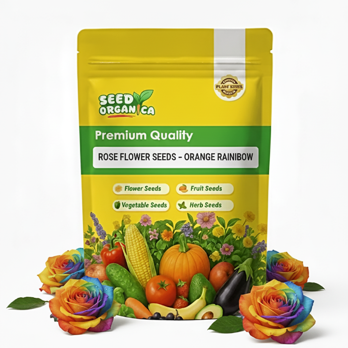 Rose Flower Seeds – Orange Rainbow