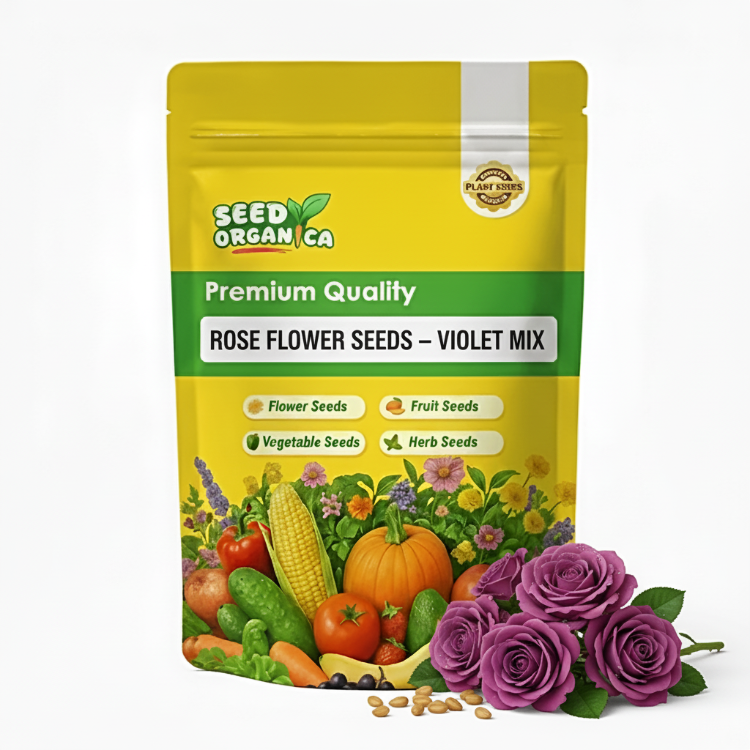 Rose Flower Seeds – Violet Mix