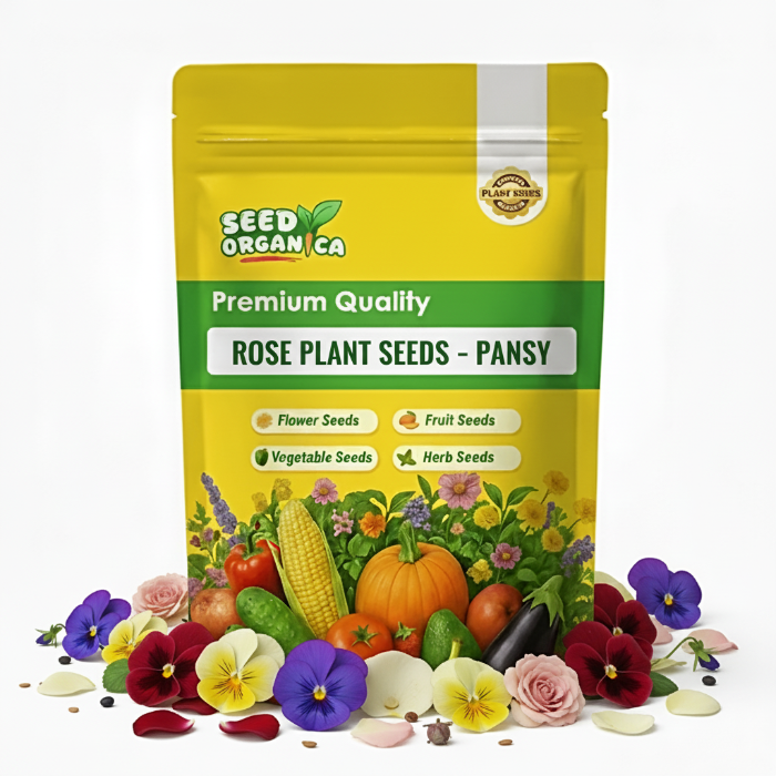 Rose Plant Seeds – Pansy