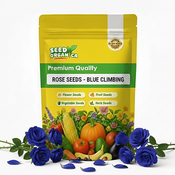 Rose Seeds - Blue Climbing